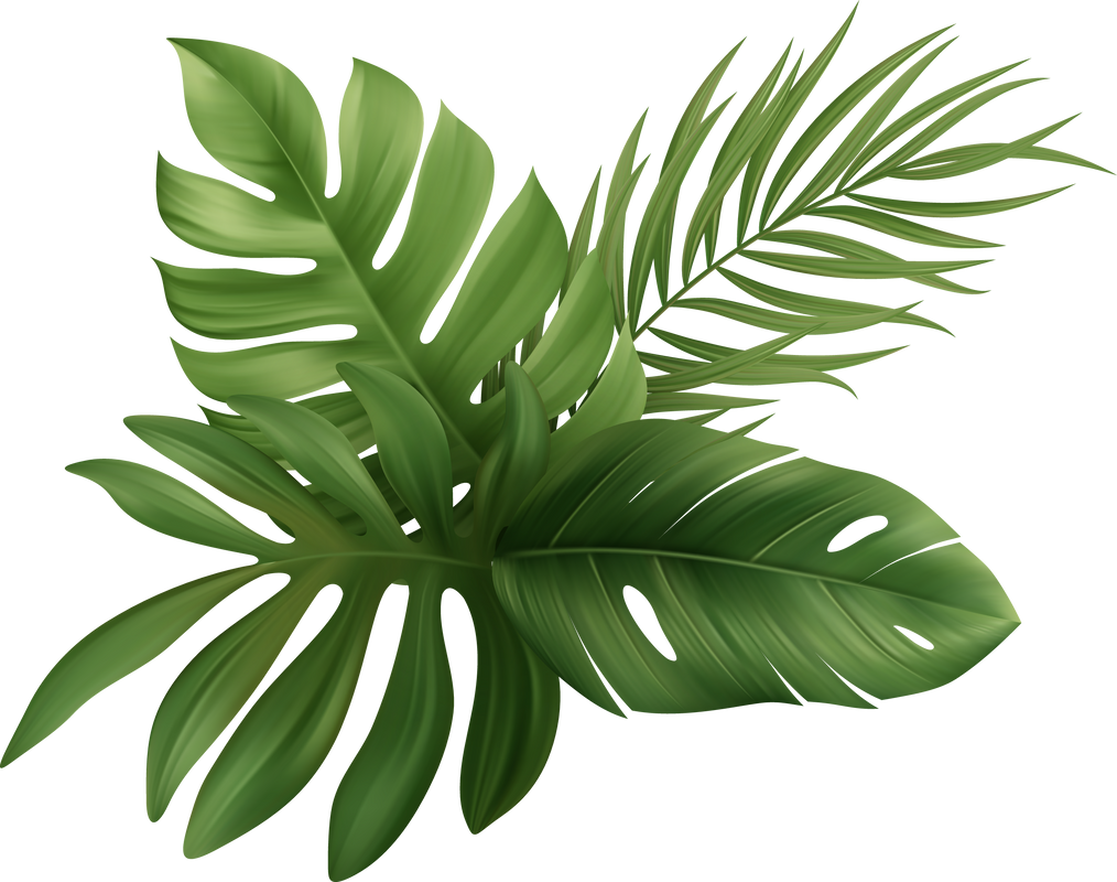 Palm Leaves